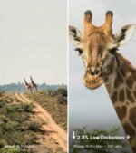 ⁦TeleCular   30X   عدسة مقربة⁩ - الصورة ⁦5⁩